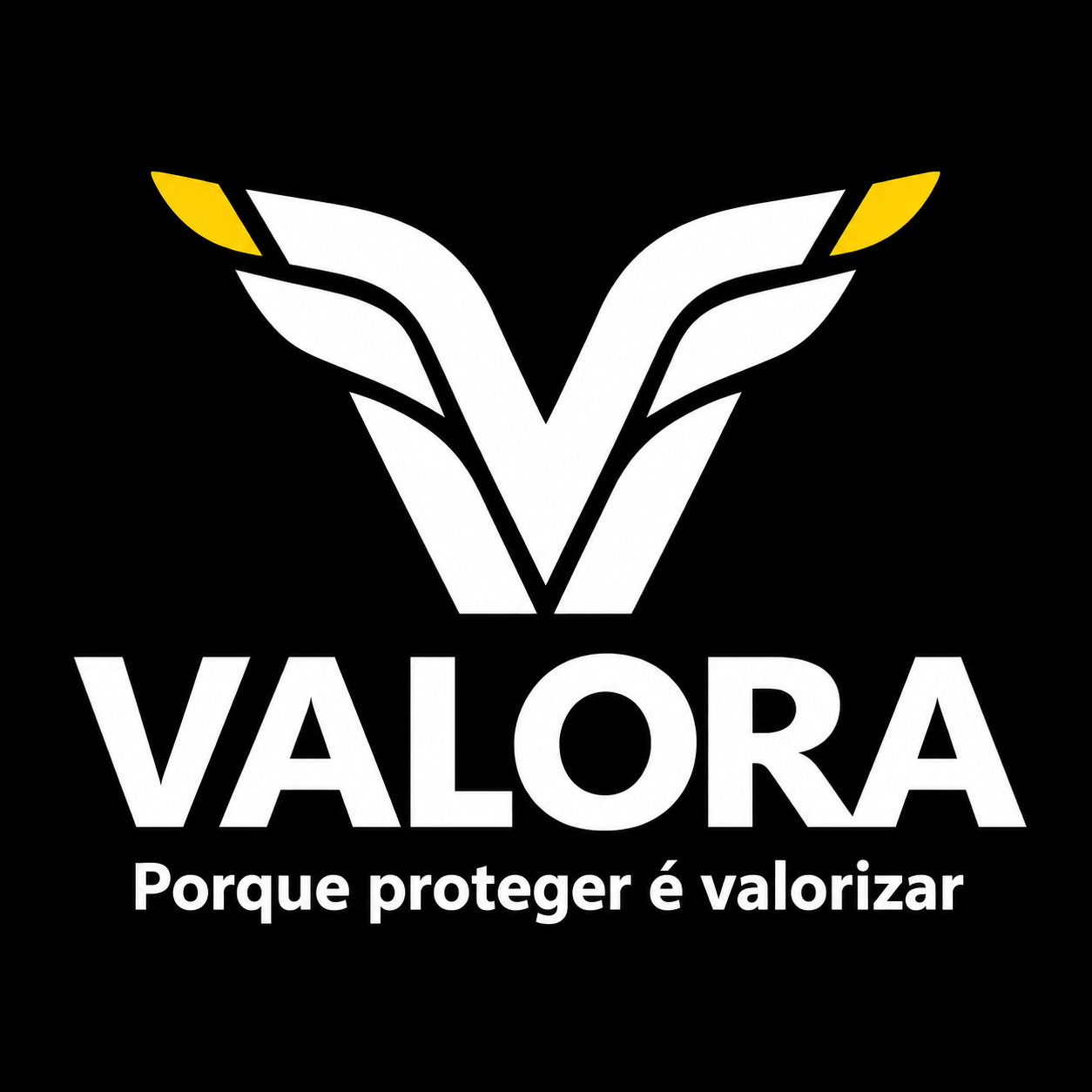 Valora — Porque proteger é valorizar